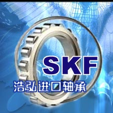 佛山进口轴承批发商/佛山进口轴承代理商/佛山进口轴承总经销浩